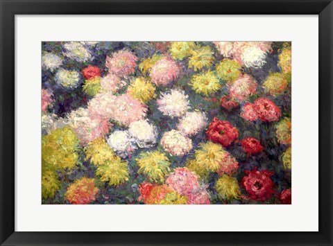 Framed Chrysanthemums, 1897 Print