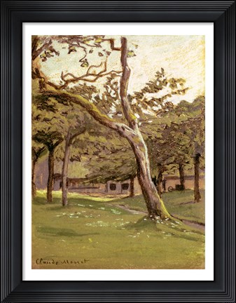Framed Orchard Print