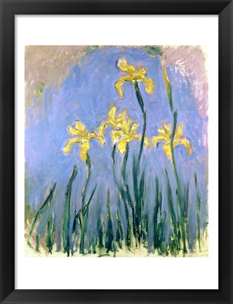 Framed Yellow Irises, c.1918-25 Print