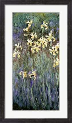 Framed Yellow Irises Print
