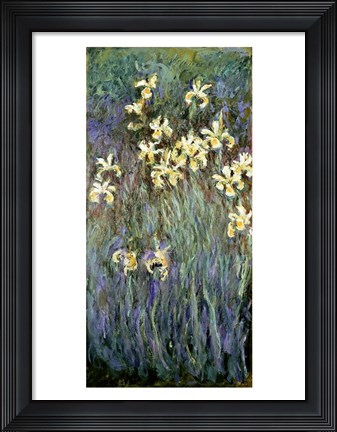 Framed Yellow Irises Print