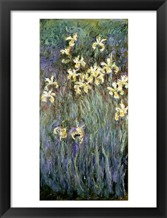 Framed Yellow Irises Print