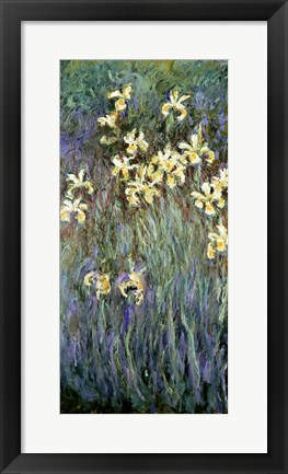 Framed Yellow Irises Print