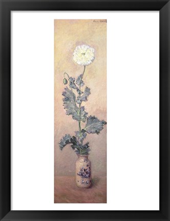 Framed White Poppy, 1883 Print