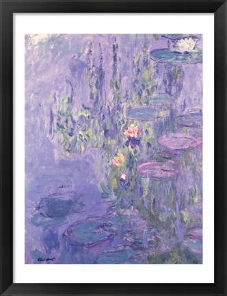Framed Waterlilies Print