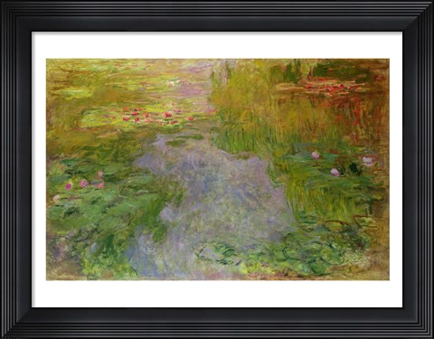 Framed Waterlilies, c.1919 Print