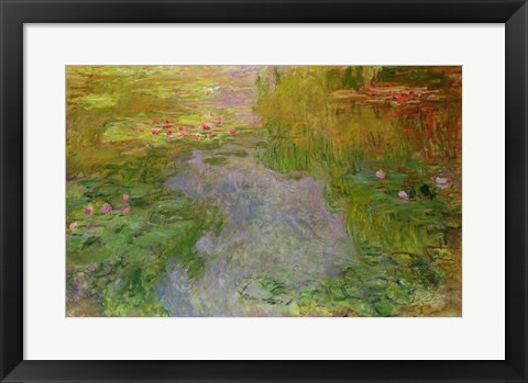 Framed Waterlilies, c.1919 Print