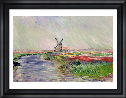 Framed Tulip Field in Holland Print