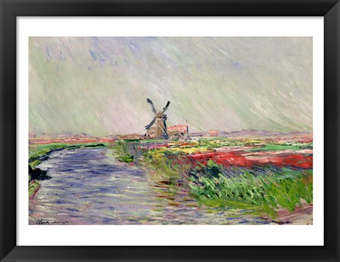 Framed Tulip Field in Holland Print