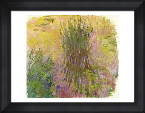 Framed Waterlilies (yellow) Print