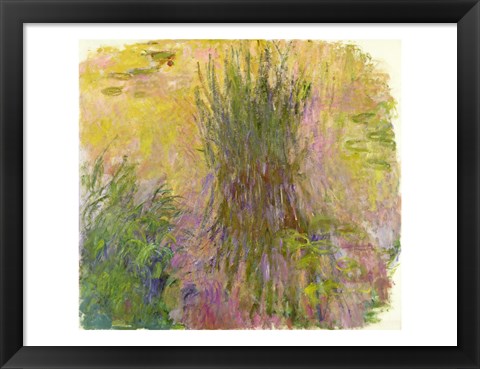 Framed Waterlilies (yellow) Print