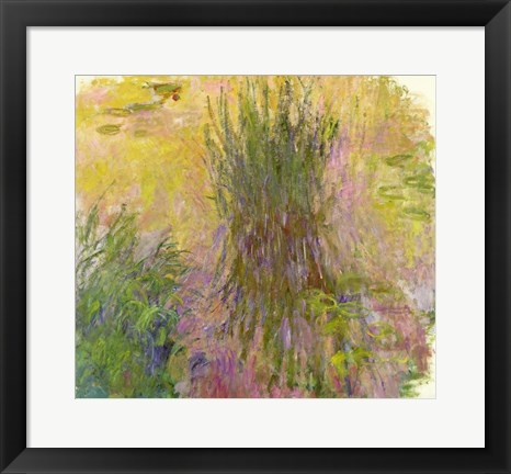 Framed Waterlilies (yellow) Print