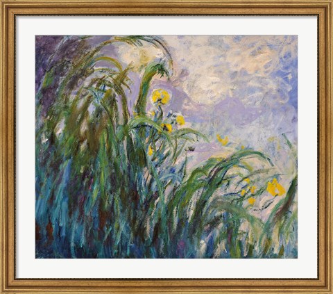 Framed Yellow Iris Print