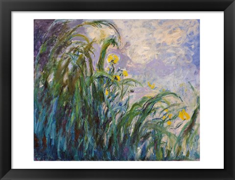 Framed Yellow Iris Print