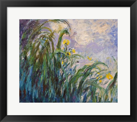 Framed Yellow Iris Print