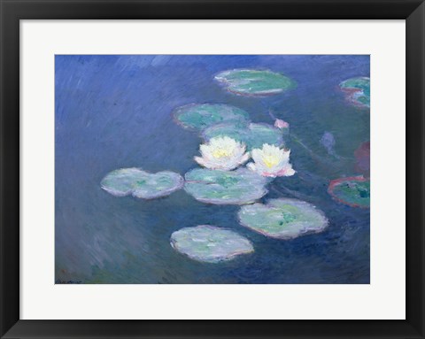 Framed Waterlilies, Evening Print