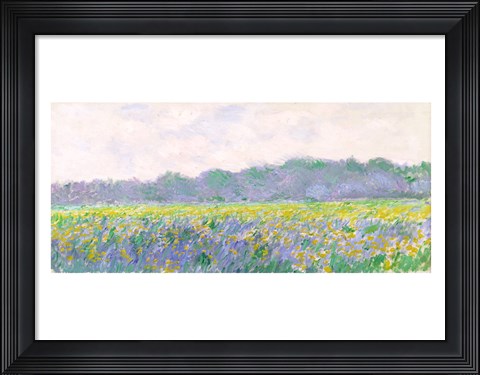 Framed Field of Yellow Irises at Giverny, 1887 Print