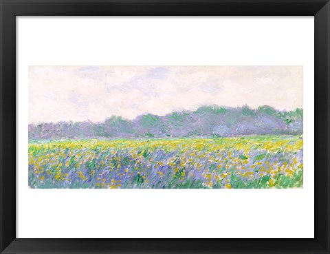 Framed Field of Yellow Irises at Giverny, 1887 Print