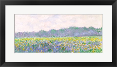 Framed Field of Yellow Irises at Giverny, 1887 Print