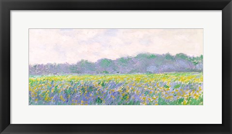 Framed Field of Yellow Irises at Giverny, 1887 Print