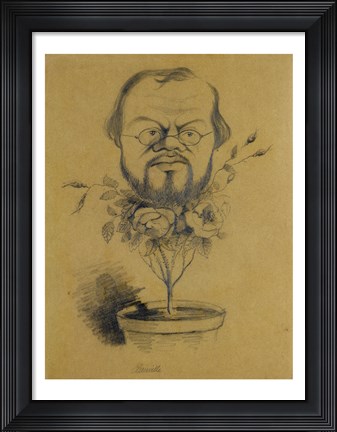 Framed Francois Nicolaie Print