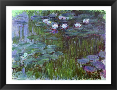 Framed Waterlilies, 1914-17 Print