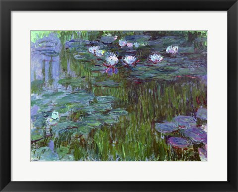 Framed Waterlilies, 1914-17 Print