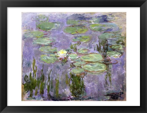 Framed Waterlilies, 1915 Print