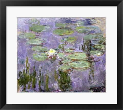 Framed Waterlilies, 1915 Print