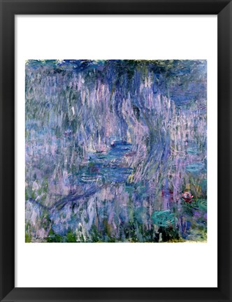 Framed Waterlilies and Reflections of a Willow Tree Print