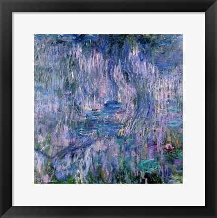 Framed Waterlilies and Reflections of a Willow Tree Print