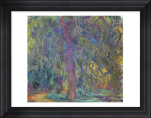 Framed Weeping Willow, 1918-19 Print