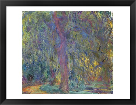 Framed Weeping Willow, 1918-19 Print