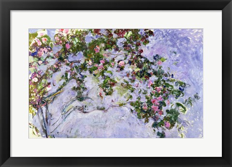 Framed Roses, 1925-26 Print