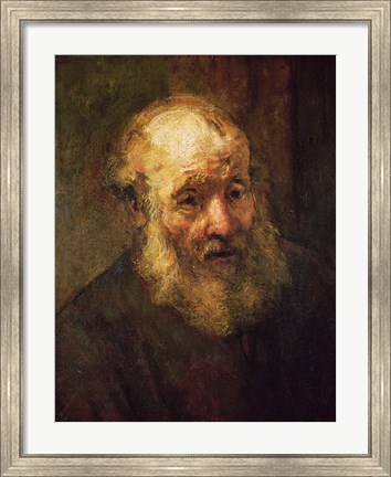 Framed Head of an Old Man, c.1650 Print