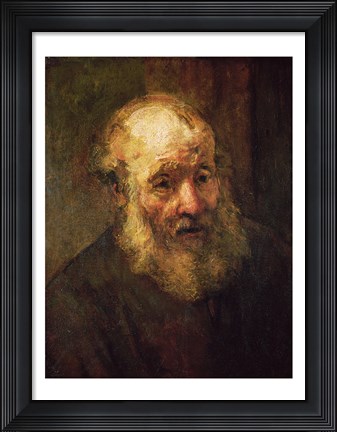 Framed Head of an Old Man, c.1650 Print