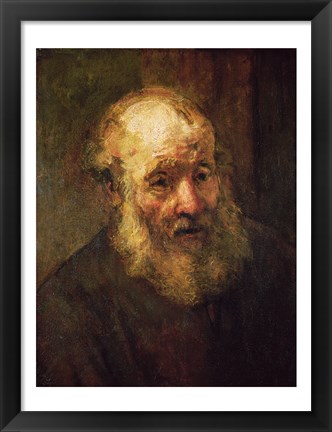 Framed Head of an Old Man, c.1650 Print