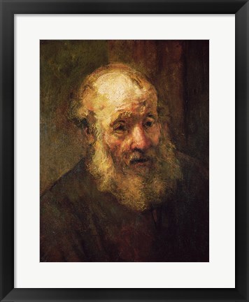 Framed Head of an Old Man, c.1650 Print