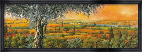 Framed Vallata degli ulivi Print