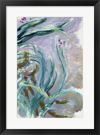 Framed Iris (gray) Print