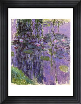 Framed Nympheas - Detail Print