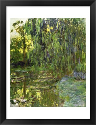 Framed Weeping Willows, The Waterlily Pond at Giverny, c.1918 Print