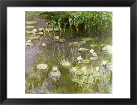 Framed Waterlilies at Midday, 1918 Print