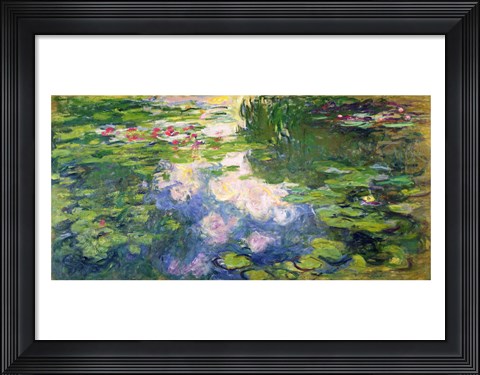 Framed Nympheas Print