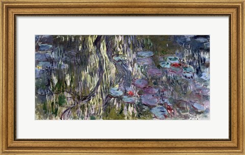 Framed Waterlilies (horizontal) Print