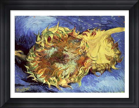 Framed Sunflowers, 1887 Print