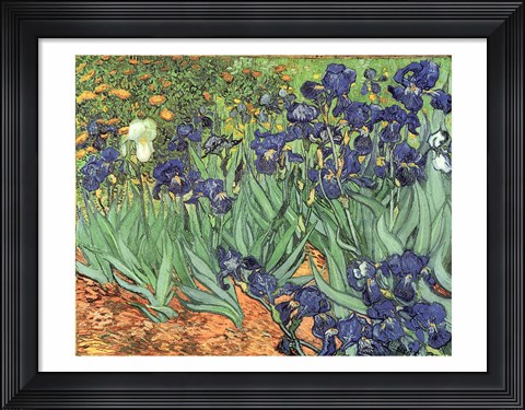 Framed Irises, 1889 Print