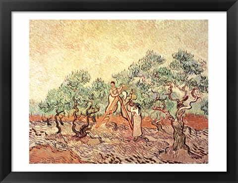 Framed Olive Grove, 1889 Print