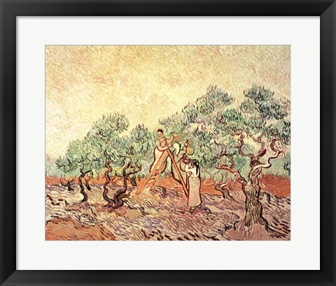 Framed Olive Grove, 1889 Print