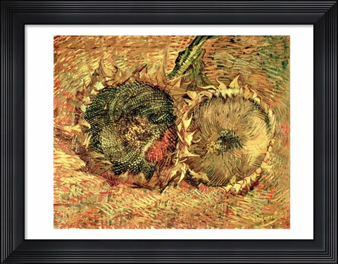 Framed Two Cut Sunflowers, 1887 Print